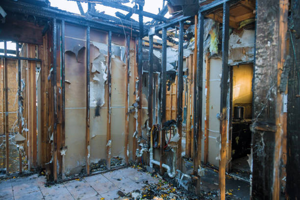 Professional Structural Rebuild technician working in Louisville, KY